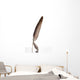 Feather Wall Decal