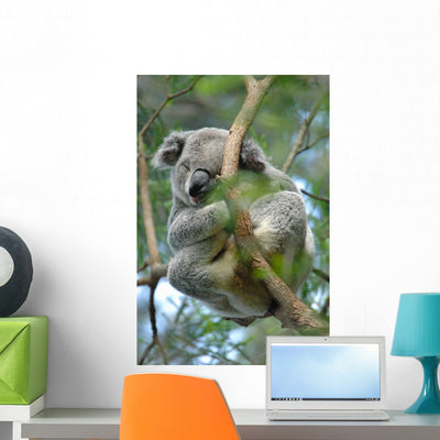 Koala Wall Decal shown on a wall