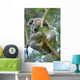 Koala Wall Decal