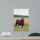 Cheval Wall Decal