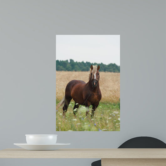 Cheval Wall Decal
