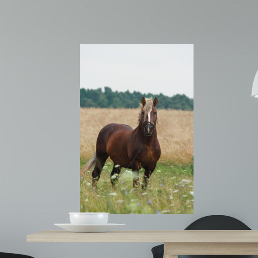 Cheval Wall Decal