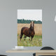 Cheval Wall Decal