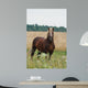 Cheval Wall Decal