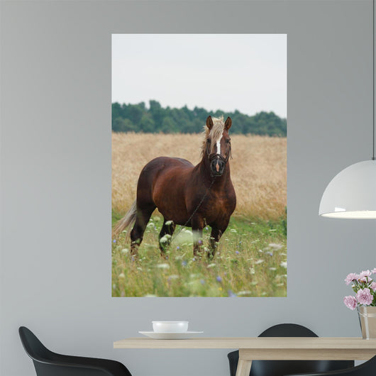 Cheval Wall Decal
