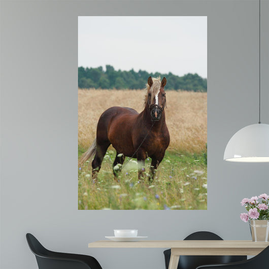 Cheval Wall Decal
