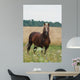 Cheval Wall Decal