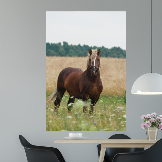Cheval Wall Decal