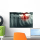 Dental Xray With Red Wall Decal