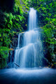 Beautiful Lush Waterfall Wall Decal