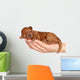 Little Puppy One Week Wall Decal