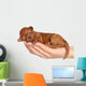 Little Puppy One Week Wall Decal