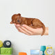 Little Puppy One Week Wall Decal