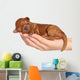 Little Puppy One Week Wall Decal