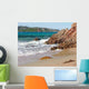 Capo Coda Cavallo Wall Decal