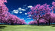 Cherry Blossom Orhcard Wall Decal