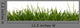 Grass Close-Up Wall Decal