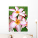 Tropical Flowers Pink Tropical Wall Decal