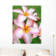 Tropical Flowers Pink Tropical Wall Decal