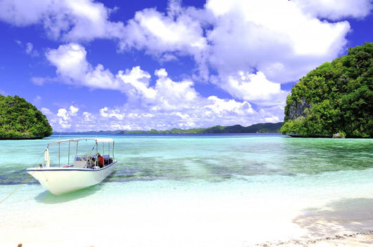 Island Wall Decal