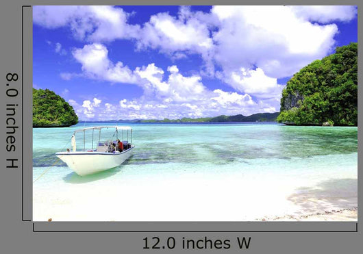 Island Wall Decal