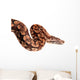 Snake Boa Python Wall Decal