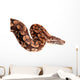 Snake Boa Python Wall Decal