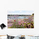Coast Brittany Covered With Flowers Wall Decal