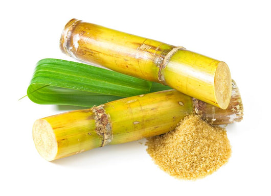 Sugar Cane Wall Decal