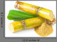 Sugar Cane Wall Decal