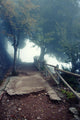 Old Road Mountains Wall Decal