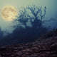 Old Spooky Tree Wall Decal
