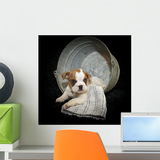 Sweet Little Bulldog Puppy Wall Decal