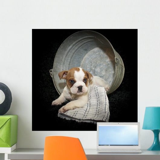 Sweet Little Bulldog Puppy Wall Decal