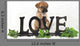 Puggle Puppy Wall Decal