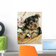 Yorkie Puppy in a Basket Wall Decal