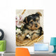 Yorkie Puppy in a Basket Wall Decal