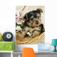 Yorkie Puppy in a Basket Wall Decal