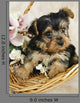 Yorkie Puppy in a Basket Wall Decal