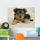 Yorkie Puppy Wall Decal