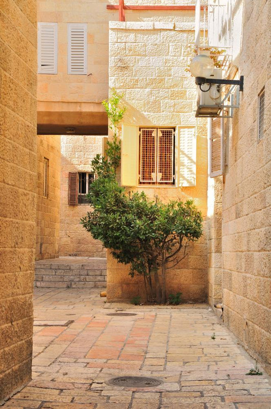 Small Yard Old City Wall Decal