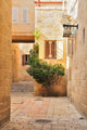 Small Yard Old City Wall Decal