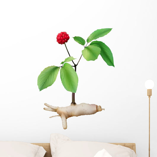 Panax Ginseng Wall Decal