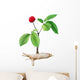 Panax Ginseng Wall Decal
