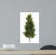 Common Aspen White Wall Decal