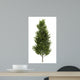 Common Aspen White Wall Decal