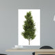 Common Aspen White Wall Decal