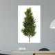Common Aspen White Wall Decal