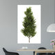 Common Aspen White Wall Decal