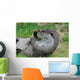 Playful Otter Wall Decal
